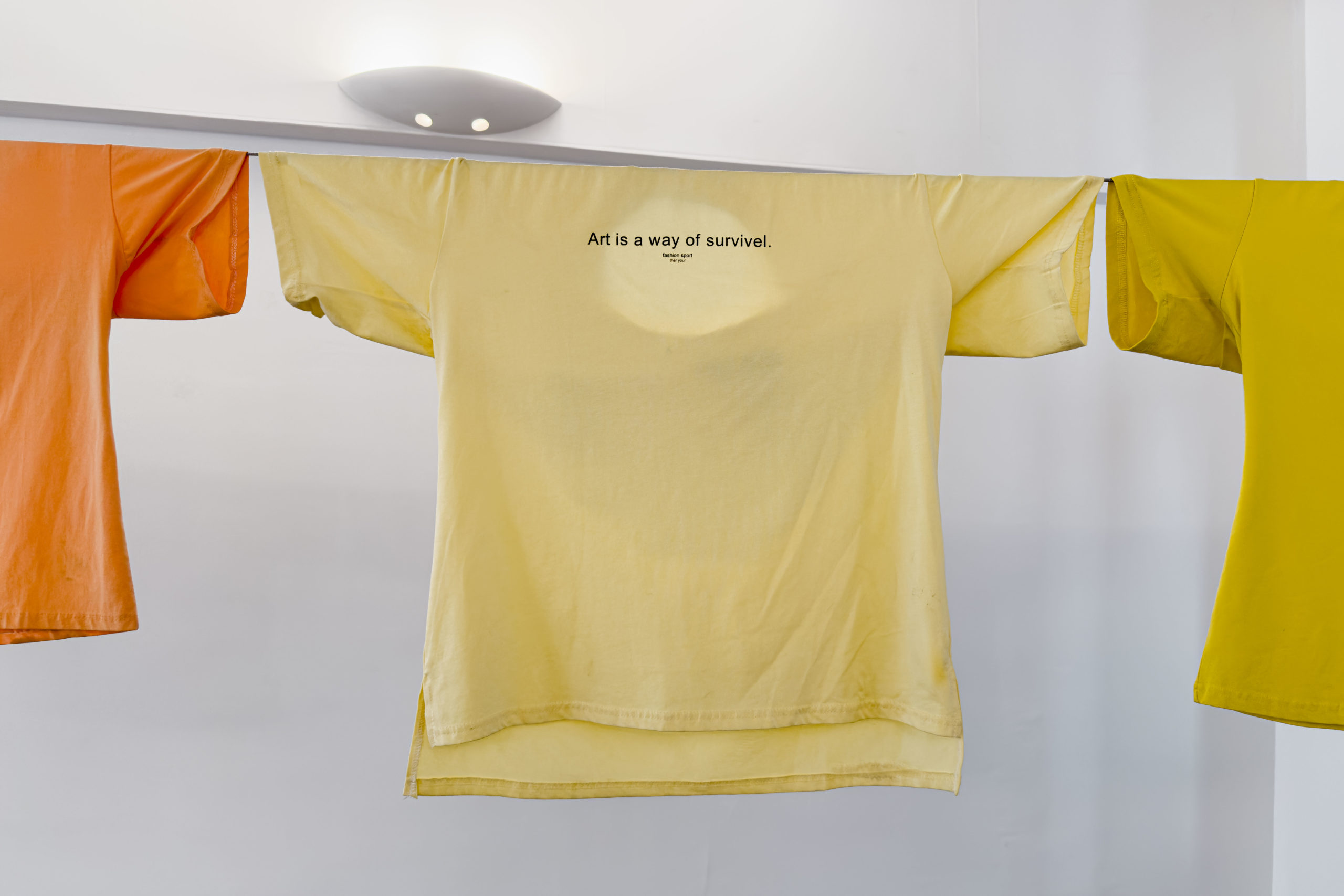 Incomplete Poem (Laundry line) by Shanzhai Lyric at Giselle's Books, Marseille